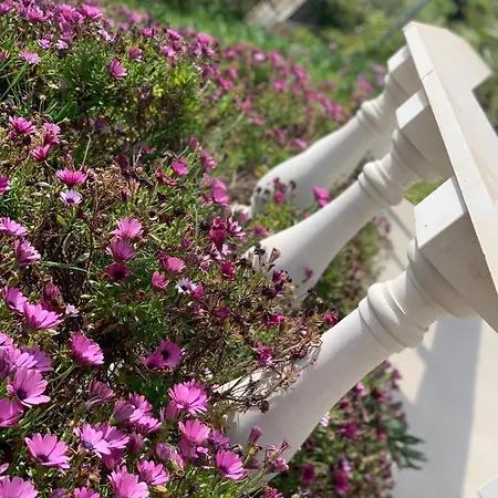 Villa Palms Luxury Greek Villas 1 *