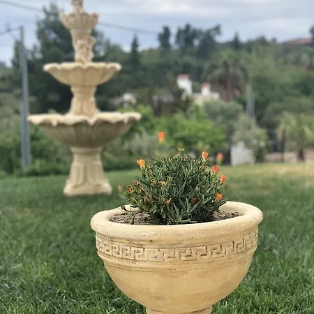 Βίλα Palms Luxury Greek Villas 1 Χανιώτη